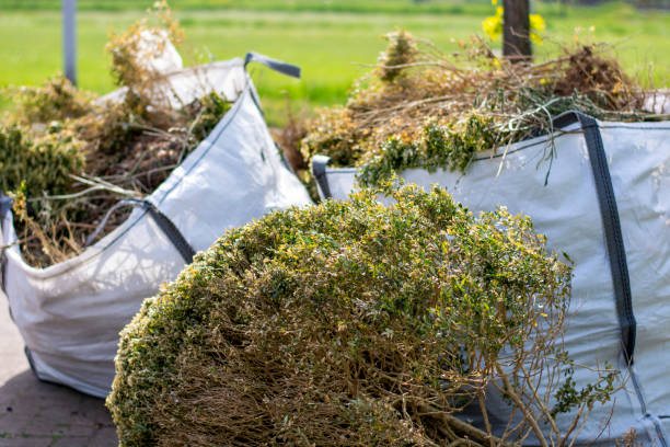 Best Professional Junk Removal  in Edgemere, MD